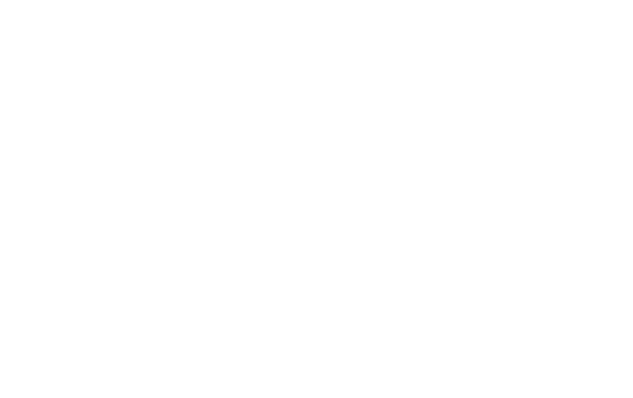 Microchip
